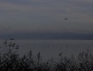 MG_2396