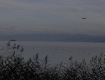 MG_2397