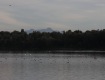 MG_2401