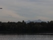 MG_2403