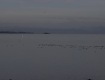 MG_2406