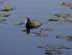 MG_2441