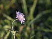 MG_2455