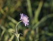 MG_2456