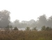 MG_2457