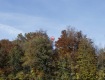 MG_2468