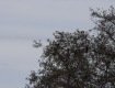 MG_2496