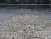 MG_2825