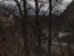 MG_3675