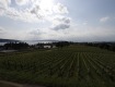 MG_4410