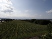 MG_4411