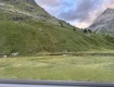 IMG_0178