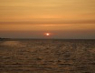 IMG_1710