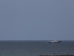 IMG_1752