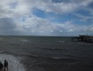 IMG_1791
