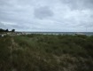 IMG_1762