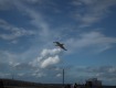 IMG_1797