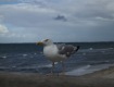 IMG_1790