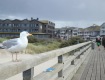 IMG_1796