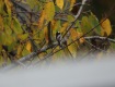 IMG_1900