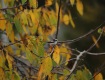 IMG_1905