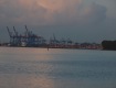 IMG_3871