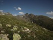 IMG_3628
