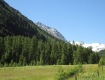 IMG_3729