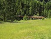 IMG_3730