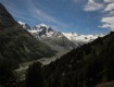 IMG_3781