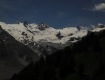 IMG_3785