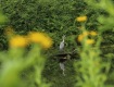 IMG_3981