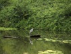 IMG_3985