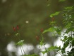 IMG_3986