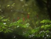 IMG_3987