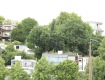 IMG_4070