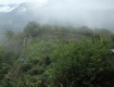 IMG_4317