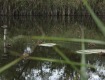 IMG_4340